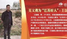 淮安每日一食爆料新闻,每日一食爆料，探寻地方特色美食之旅