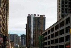 南阳爆料最新消息新闻网,最新消息全网热议，揭秘事件背后真相