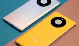 华为mate100最新爆料