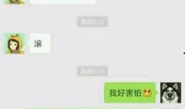 微信吃瓜聊天记录网红