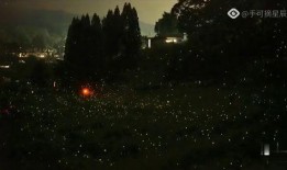 萤火虫技能爆料攻略视频,揭秘视频中的实战技巧与策略解析