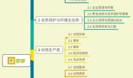 天津餐饮爆料视频大全集,一网打尽美食圈那些事儿