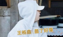 张远爆料王乐鑫视频,事件背后有何隐情？