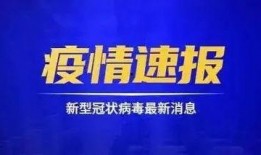 东莞爆料最新新闻今天事件,惊现重大事件引发社会关注