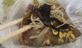 牛蛙后厨爆料视频大全,揭秘美食背后的真相