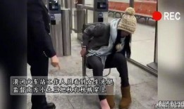 工作的女郎在线观看土豆,揭秘工作女郎的职场生活