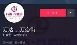 网红万字爆料视频大全下载,背后真相与幕后故事全解析