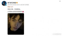 爆料陈飞宇的恋情视频在线观看,甜蜜互动引网友热议