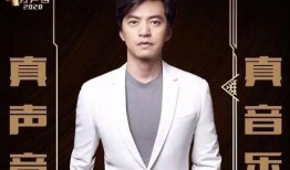 李健爆料中国好声音视频,李健揭秘中国好声音幕后故事