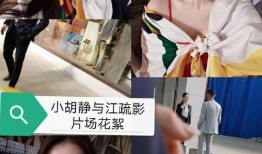 网红闺蜜爆料视频下载大全,揭秘幕后真相