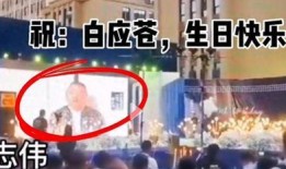缅北投资者爆料视频播放,视频揭示投资内幕与风险
