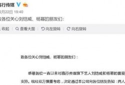 谢霆锋爆料刘恺威视频,真相背后引人深思