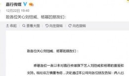 谢霆锋爆料刘恺威视频,真相背后引人深思