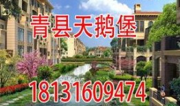 青县爆料最新消息,揭秘事件真相，真相令人震惊！