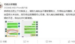 张九南妻子爆料了吗视频,揭秘夫妻关系背后的真相