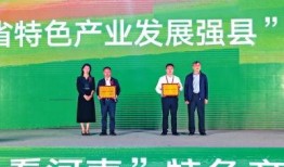 临颍新闻爆料最新消息,最新爆料揭示惊人真相！