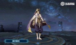 弈星皮肤爆料最新消息,神秘棋局，谁主沉浮？