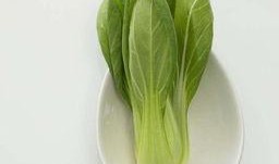 青菜爆料视频大全,揭秘幕后真相，一网打尽热门事件