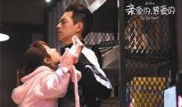 电视剧亲爱的在线观看,温情演绎家庭情感纠葛，感人至深！