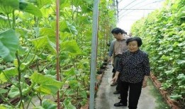 吃瓜真爽视频大全免费下载,免费下载，一网打尽！