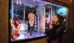 帮帮我爱神在线观看,浪漫邂逅，在线心动之旅