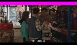 作秀时刻在线观看,揭秘网络直播的幕后真相