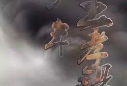 少年王孝锡在线观看,青春逐梦，砥砺前行