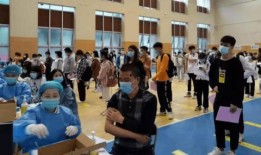 金辉爆料最新消息今天视频,今日视频揭秘惊人内幕！”