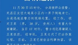 湖北教育爆料最新消息视频,视频揭示教育领域重大动态