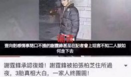 谢霆锋爆料刘恺威视频,真相背后引人深思