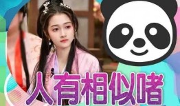 娱乐吃瓜明星团宠小说推荐,团宠明星的甜蜜瓜田之旅