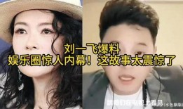 娱乐圈故事爆料大全,揭秘明星背后的故事与真相
