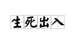 出入生死在线观看,出入生死实时直播揭秘