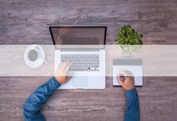 印尼猪瘟爆料事件视频播放,真相与争议并存