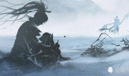 探幽最新爆料视频大全集,揭秘幕后真相，带你走进未知世界