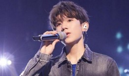 网红爆料王源事件视频完整版,网红爆料背后的真相与争议