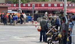 大连早晨在线观看,尽享海风拂面的美好时光