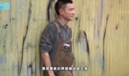 刘德华爆料王宝强视频,一场娱乐圈的权力博弈