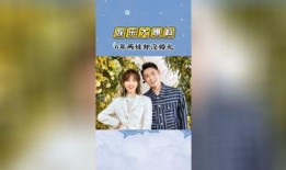 娱乐大爆料海报,海报揭秘明星幕后故事