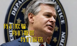 fbi局长最新爆料消息,揭秘神秘网络犯罪团伙内幕