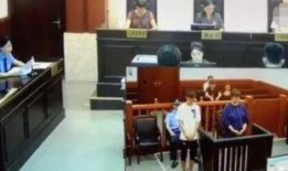 定兴理发店爆料案件最新,揭开背后惊人真相