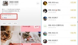 爆料卖货视频怎么做好看,打造吸睛卖货内容的秘诀