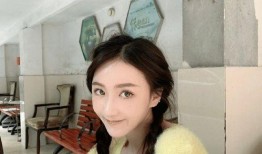 田宗琦前女友爆料视频,揭秘背后惊人真相