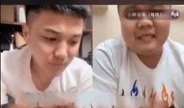 胖子爆料资讯视频大全,揭秘热门视频背后的秘密与真相