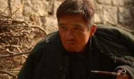 庄稼汉电视剧在线观看,农村生活的真实写照，在线观看重温乡土情怀