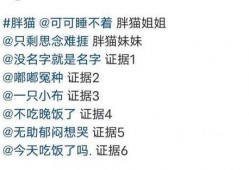 肥猫事件最新爆料,最新爆料揭露惊人内幕