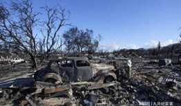 夏威夷火灾爆料视频大全