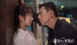 电视剧亲爱的在线观看,温情演绎家庭情感纠葛，感人至深！