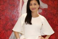 张庭团队爆料视频大全集,揭秘幕后的精彩瞬间