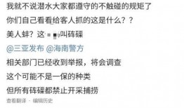 海南网友爆料新闻视频,惊现神秘新闻事件，视频曝光惊人内幕！